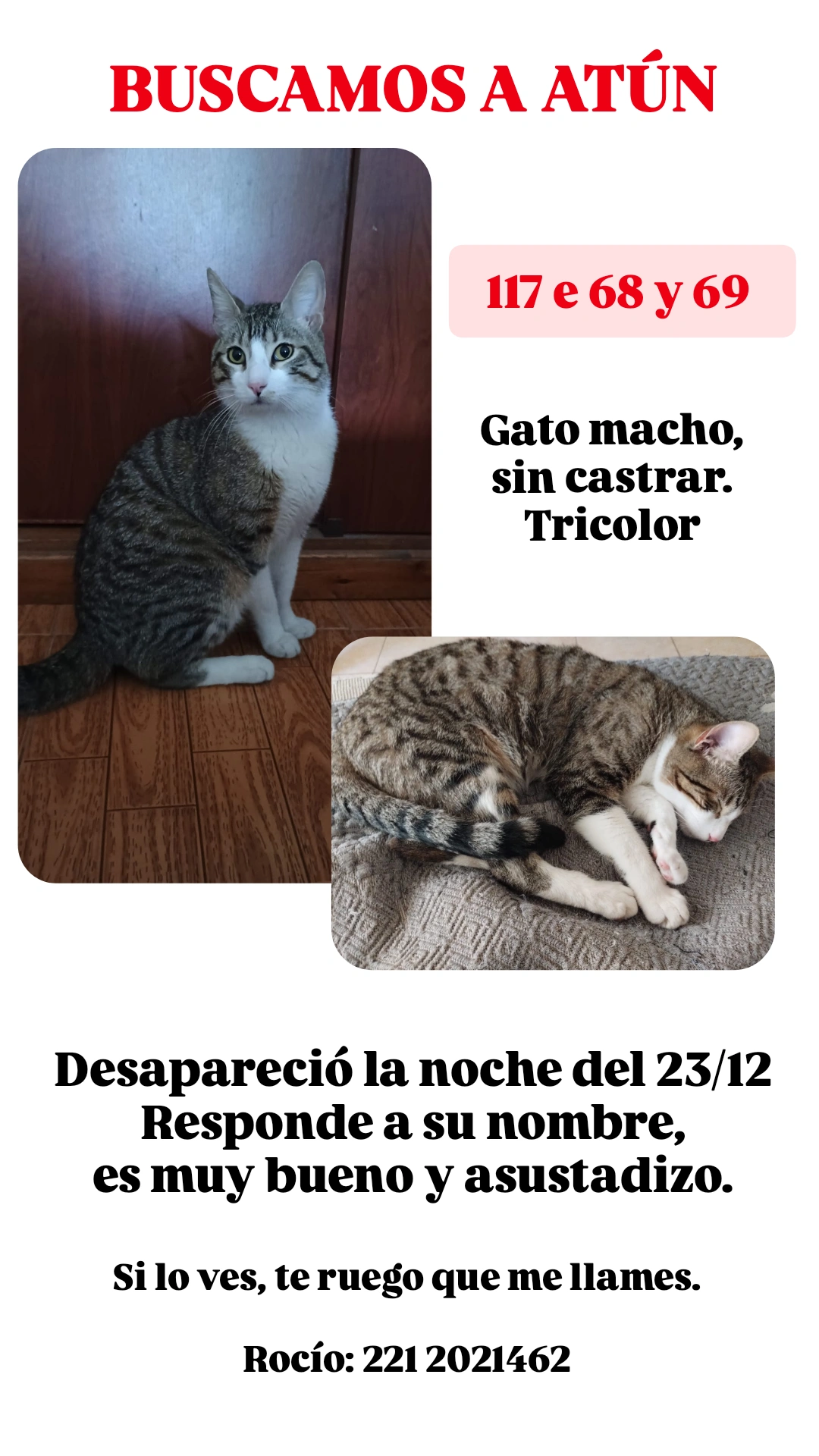 Atún